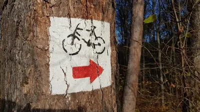 a sign on a tree with a bike on it at Apartament Podskalański in Szyce