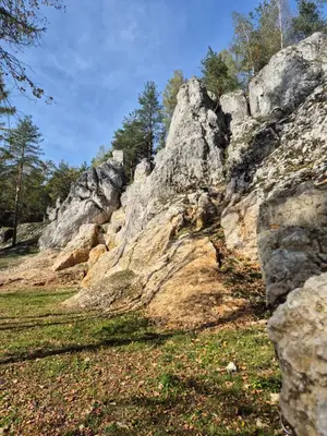 a group of large rocks in a field at Całorocznik Skała & Apartamenty in Ryczów