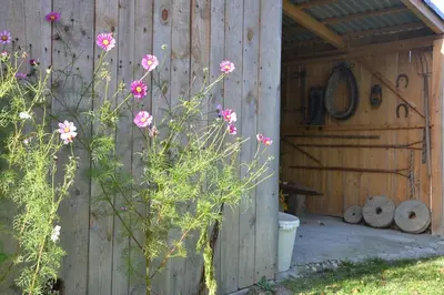 a wooden fence with pink flowers next to a shed at Dom przy lesie in Zawadka