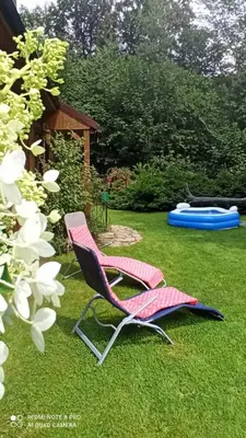 a chair sitting on the grass in a yard at Pod Magnolią in Targanice