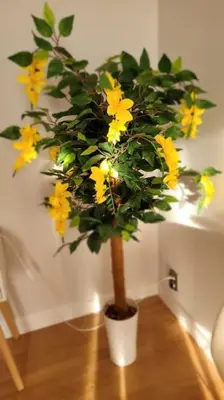 a plant with yellow flowers in a white pot at Cozy modern Apartment SUNRISE studio 35m2 balcony 3 persons in Kraków