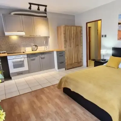 Cozy modern Apartment SUNRISE studio 35m2 balcony 3 persons