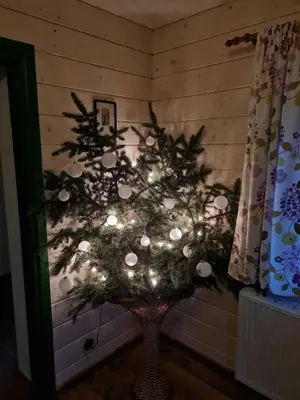 a christmas tree with lights in a room at Morowo chałupa in Czchów