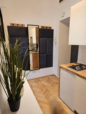 a kitchen with a white counter and a plant at Apartamenty Lenart in Kraków