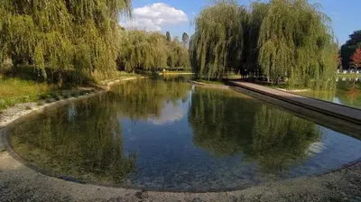 a river with trees and reflections in the water at Tauron Arena Apartment with Garage - Kraków Lema in Kraków
