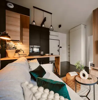 a living room with a couch and a kitchen at Przytulny Apartament Greenwall in Kraków