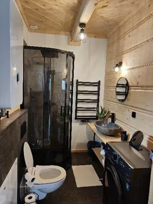 a bathroom with a toilet and a shower and a sink at beskid house in Spytkowice
