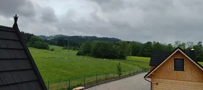 a herd of sheep grazing in a green field at beskid house in Spytkowice