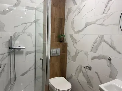 a bathroom with a shower and a toilet and a sink at 3 JASKÓŁKI in Kasina Wielka