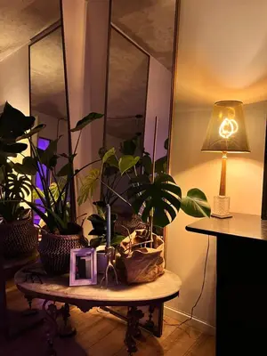 a table with potted plants on it with a lamp at Designer Loft 60m sq in Cracow Center Sunny Top-Floor Apartment with Balcony, King Bed & Great Transport in Kraków