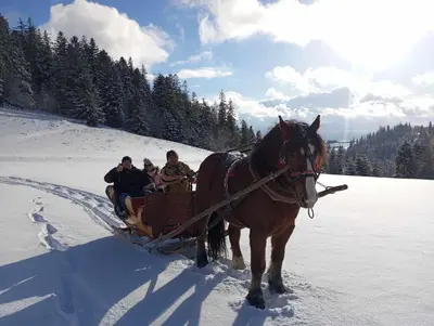 a group of people riding in a horse drawn sleigh in the snow at Noclegi Gal in Odrowąż