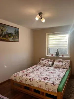 a bedroom with a bed in a room with a window at Noclegi Gal in Odrowąż