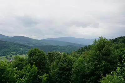 a view of a valley with mountains and trees at Domek na Niedźwiedziarce in Zawoja