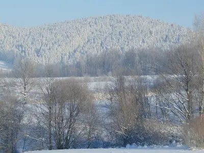 a snow covered field with trees and a mountain at POD RÓŻĄ in Kasina Wielka