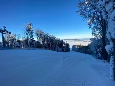 a snow covered field with trees in the distance at POD RÓŻĄ in Kasina Wielka