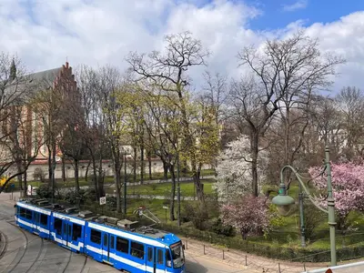 a blue train traveling through a park with trees at Appartement Vieille Ville in Kraków