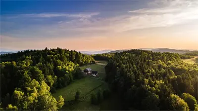 an aerial view of a house on a hill with trees at Chałupy w Lesie Skawinki in Skawinki