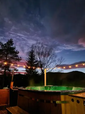 a tree and a pool at night with lights at Bulwary Mszańskie - Pokoje in Mszana Dolna