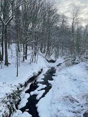 a stream in a snow covered forest with trees at Domek z Widokiem Na Bliżniaki in Chocznia