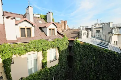 a group of buildings with ivy growing on them at Urban Nest Apartments Augustiańska 4 in Kraków