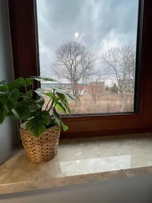 a plant in a basket sitting in a window at New One Bedroom Apartment with balcony in Kraków