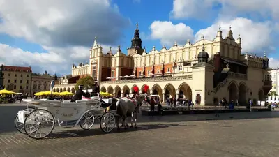 a horse drawn carriage in front of a building at Jacuzzi Kraków Bamboo in Kraków