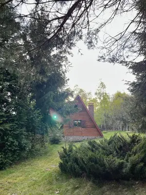 a small wooden cabin in a field with trees at Izdebka na Podchybiu in Izdebnik