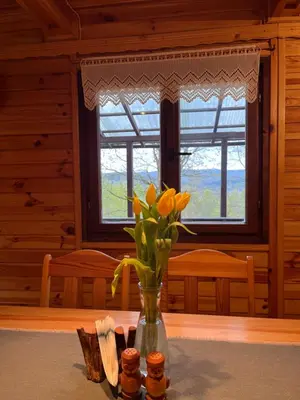 a vase of flowers on a table with a window at Izdebka na Podchybiu in Izdebnik