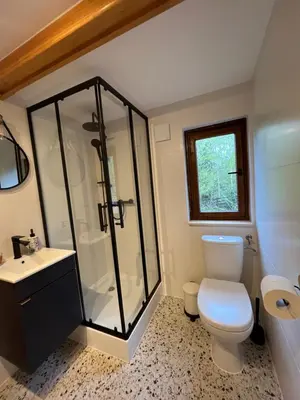 a bathroom with a shower and a toilet and a sink at Izdebka na Podchybiu in Izdebnik