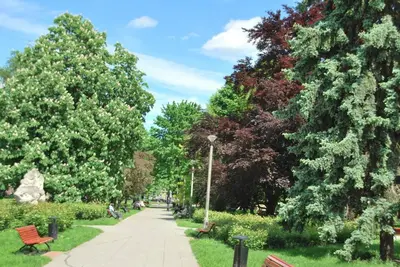 a park with benches and trees and a sidewalk at THE SOUL of Nowa Huta - free garage in Kraków