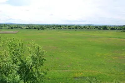 a large green field with trees in the distance at THE SOUL of Nowa Huta - free garage in Kraków