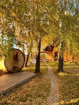 a log cabin with a porch and two chairs at Czuła Chata Ojców in Prądnik Czajowski
