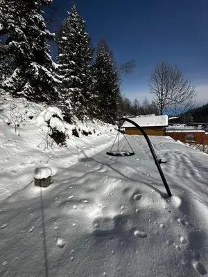 a snow covered object sitting in the snow at ObidovaGorce in Obidowa