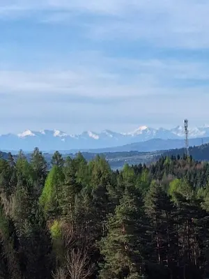 a view of a forest with mountains in the background at Urokliwy drewniany dom z widokiem na Tatry in Tokarnia