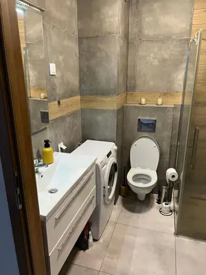 a bathroom with a toilet and a sink and a washing machine at Apartament Zlota Jesień 2C in Kraków