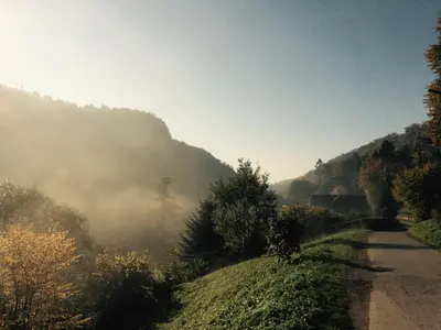 a misty mountain with a road in the foreground at Willa Pod Bocianem in Ojców
