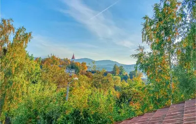 a view of a forest of trees in the fall at 6 Bedroom Amazing Home In Mucharz in Mucharz