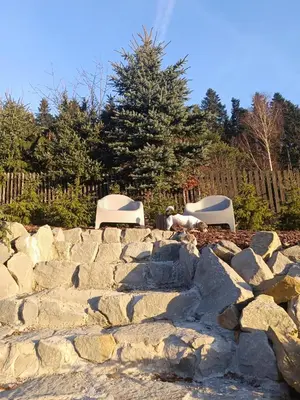 two chairs and a dog laying on a rock wall at Mucharskie Stodoły Stodoła I - Garden Spa in Jaszczurowa