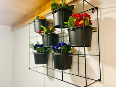a shelf with potted plants on a wall at Sebastiana Studio Old Town in Kraków