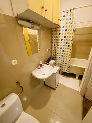 a small bathroom with a sink and a toilet at Historic Apartment in Kraków
