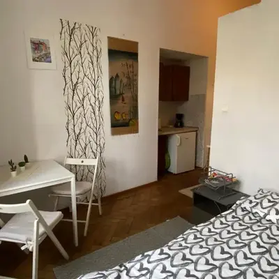 Historic Apartment