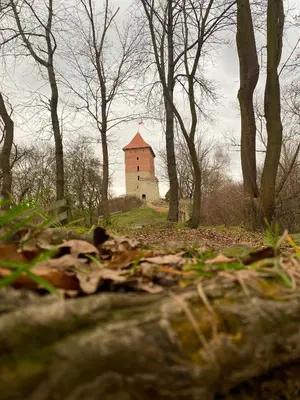 a building in the middle of a field with trees at Domki Na Winnicy - Winnica Talaska in Melsztyn