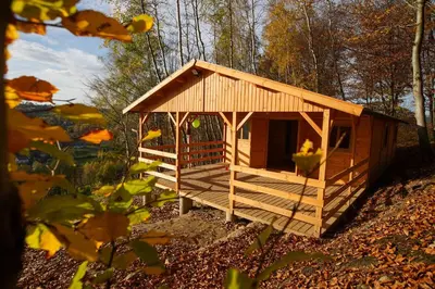 a small wooden cabin in the middle of a forest at Domki Na Winnicy - Winnica Talaska in Melsztyn
