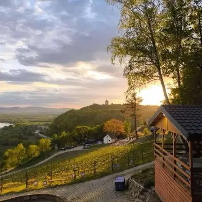 Domki Na Winnicy - Winnica Talaska