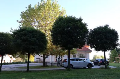a white car parked in a driveway next to trees at Rezydencja Pod Platanem in Smardzowice