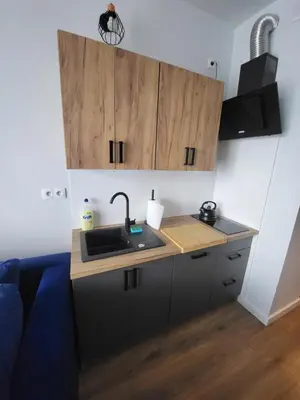 a kitchen with a sink and wooden cabinets at Nest Niebieski in Zator