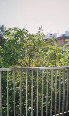 a wooden fence with trees in the background at Modern House in Old Town Numero 8 in Kraków