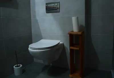 a bathroom with a toilet and a roll of toilet paper at Panorama Racławicka Domek Willa Basen Agroturystyka in Janowiczki