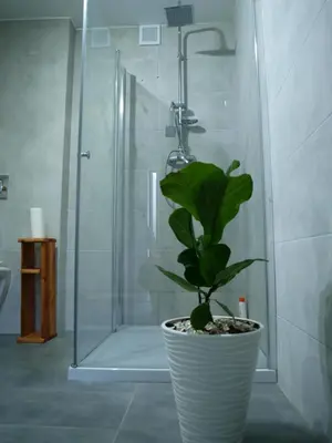 a potted plant in a bathroom with a shower at Panorama Racławicka Domek Willa Basen Agroturystyka in Janowiczki