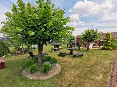 a park with benches and a tree and a picnic table at Agrostrzecha in Ryczów